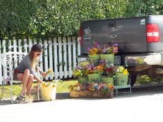 Flowers for sale in 'Sconset