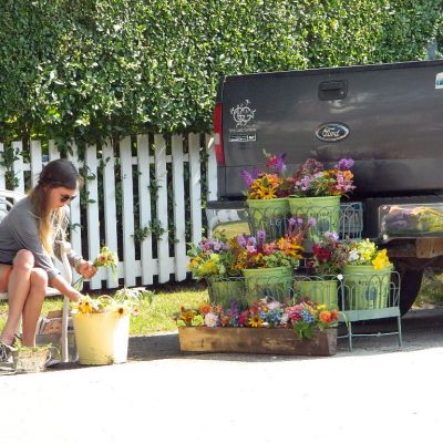 Flowers for sale in 'Sconset