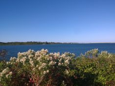 Nantucket in the Fall