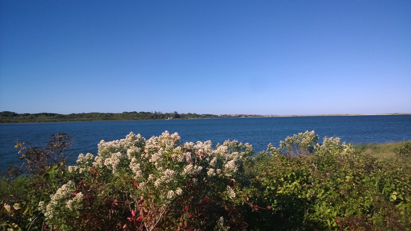Nantucket in the Fall